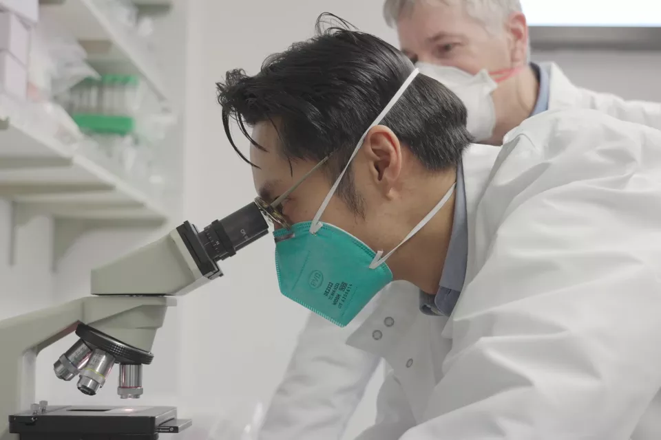 Male researcher with medium skin tone and dark hair wearing a N95 mask and a white lab coat looks into a microscope as an older male researcher with light skin tone and grey hair watches on